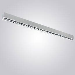 NT55/DOBLE PARABOLICO